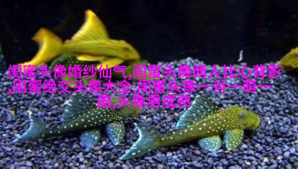 古风闺蜜头像一对一张真人(优选26张)
