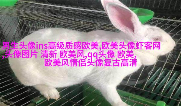 欧美小萝莉qq头像
