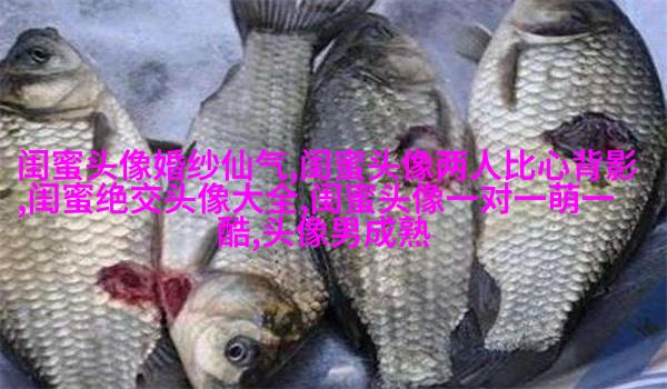 古风闺蜜头像一对一张真人(优选26张)