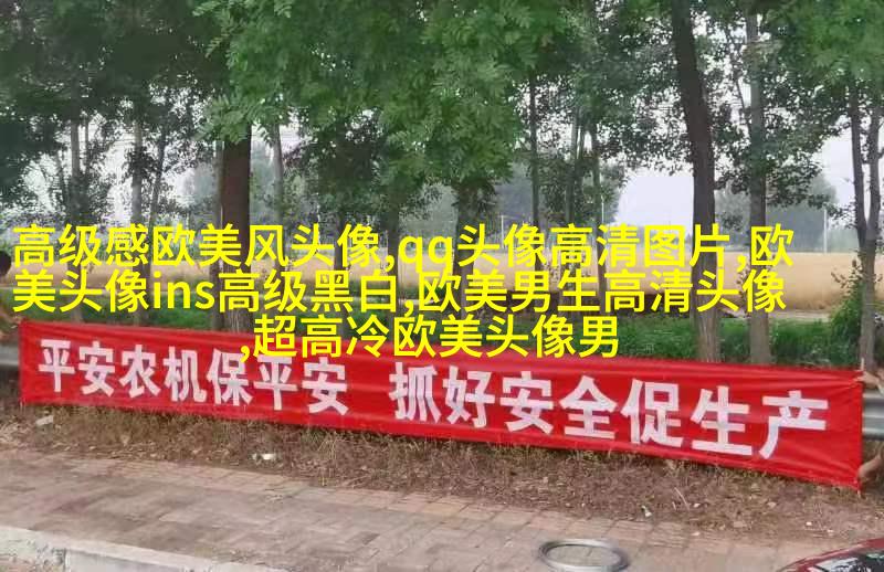 高清欧美头像女生高冷图片(24张)