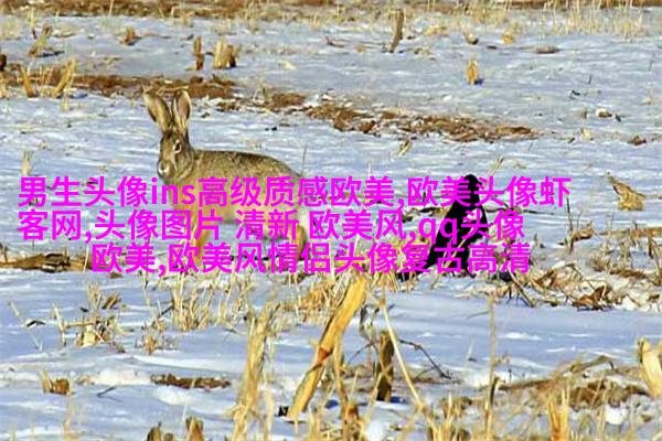 欧美小萝莉qq头像
