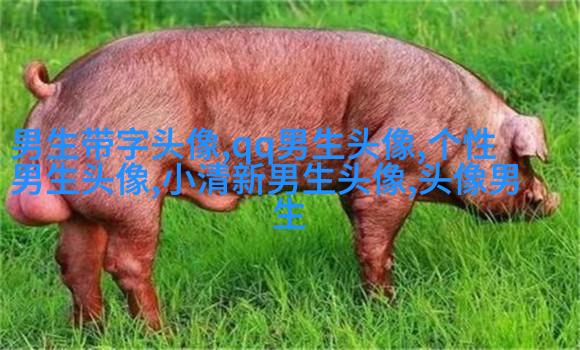 超拽头像男生头像大全图片(优选18张)