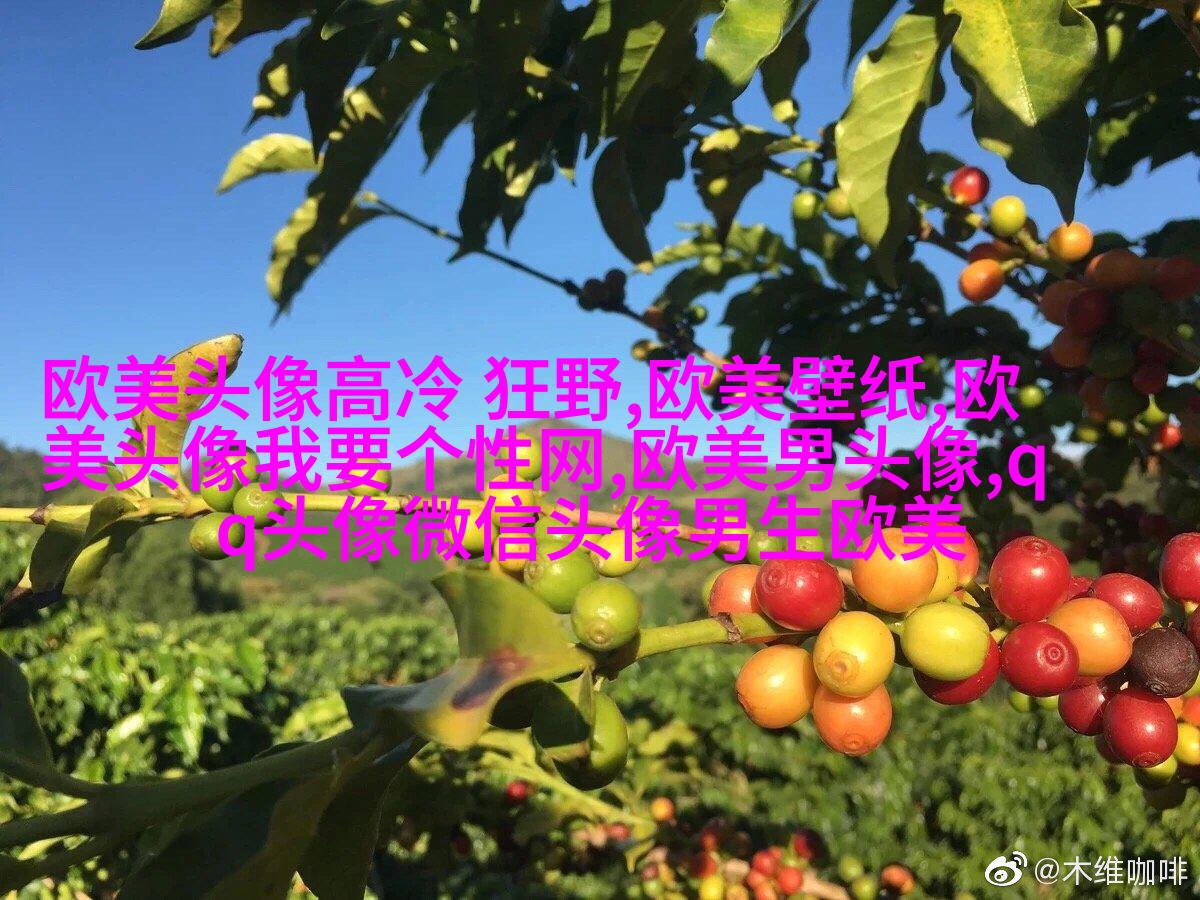 超级霸气的欧美男生头像_霸气是一种魅力