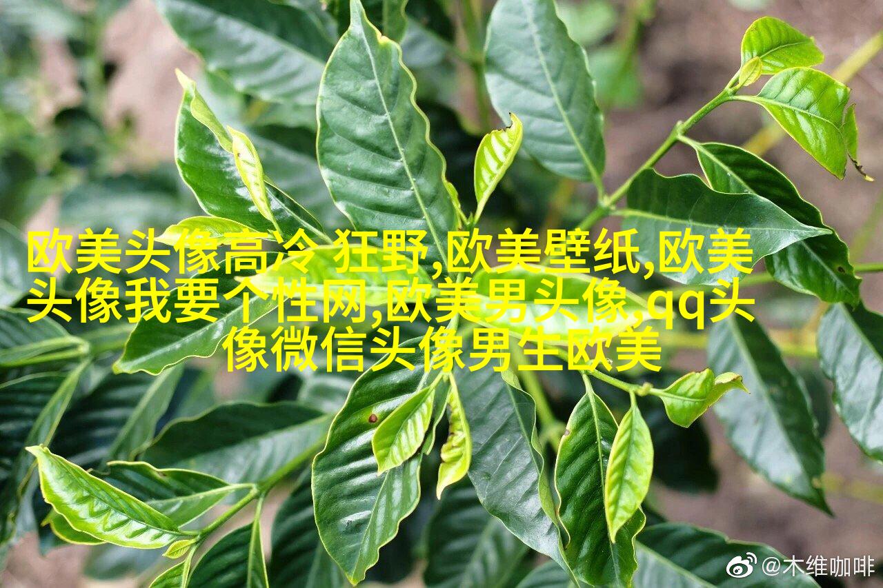 超级霸气的欧美男生头像_霸气是一种魅力