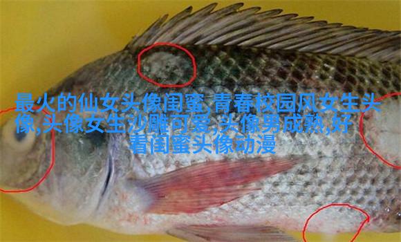 闺蜜头像真人一人一张(精选18张)