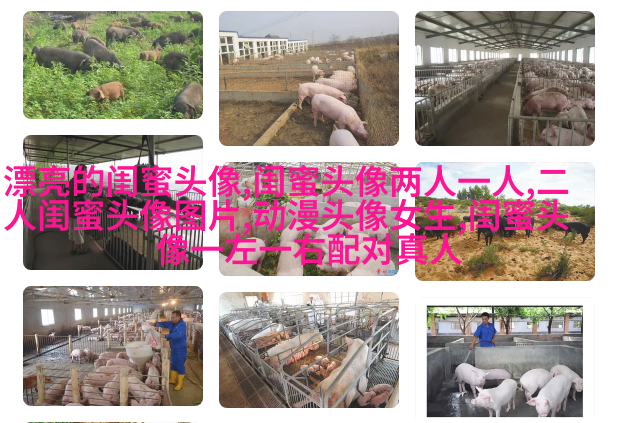 微信闺蜜高清头像图片(优选22张)