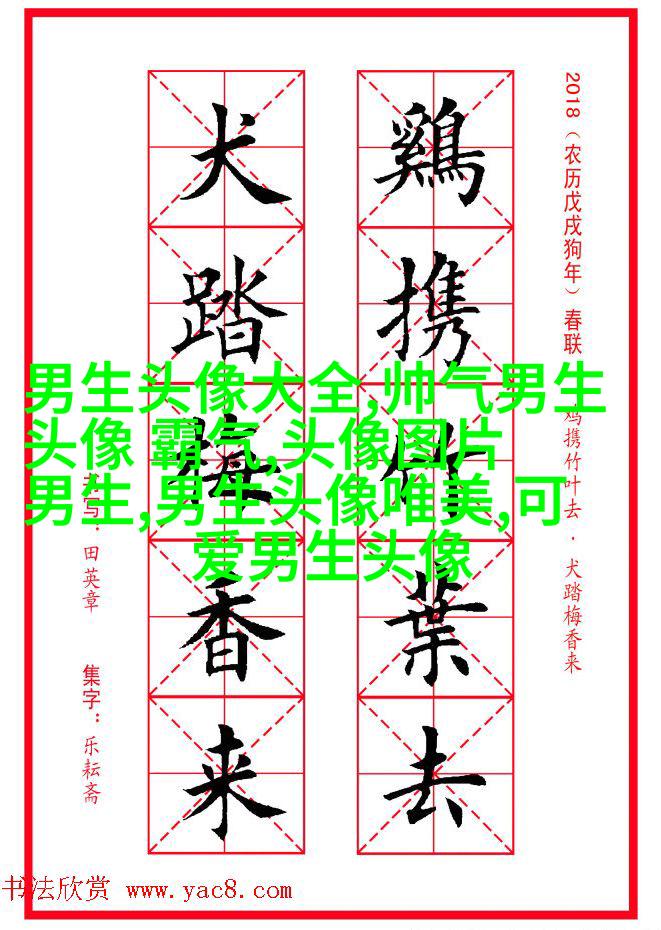帅气欧美男生qq个性头像图片(22张)