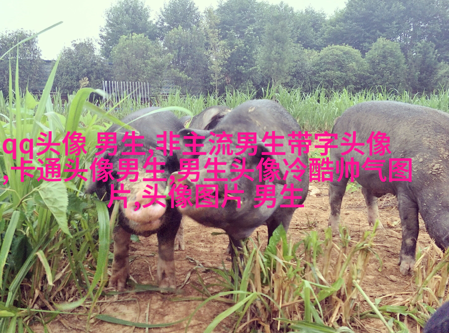 男人微信最吸引成人的头像(精选18张)