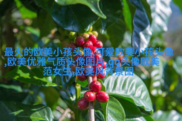 欧美范气质高冷头像(24张)