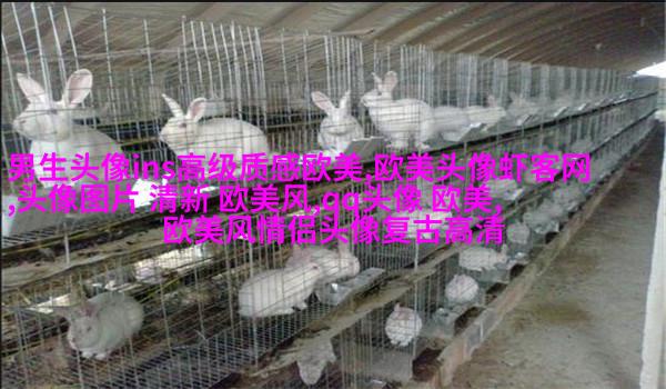 欧美小萝莉qq头像