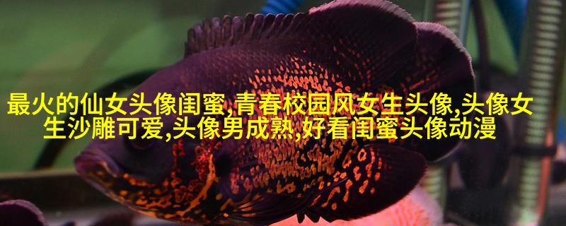 闺蜜头像真人一人一张(精选18张)