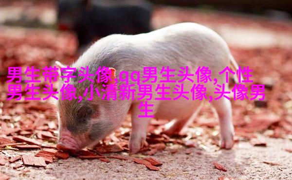 超拽头像男生头像大全图片(优选18张)