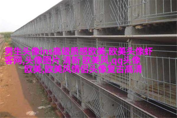 欧美小萝莉qq头像