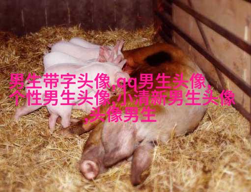 超拽头像男生头像大全图片(优选18张)