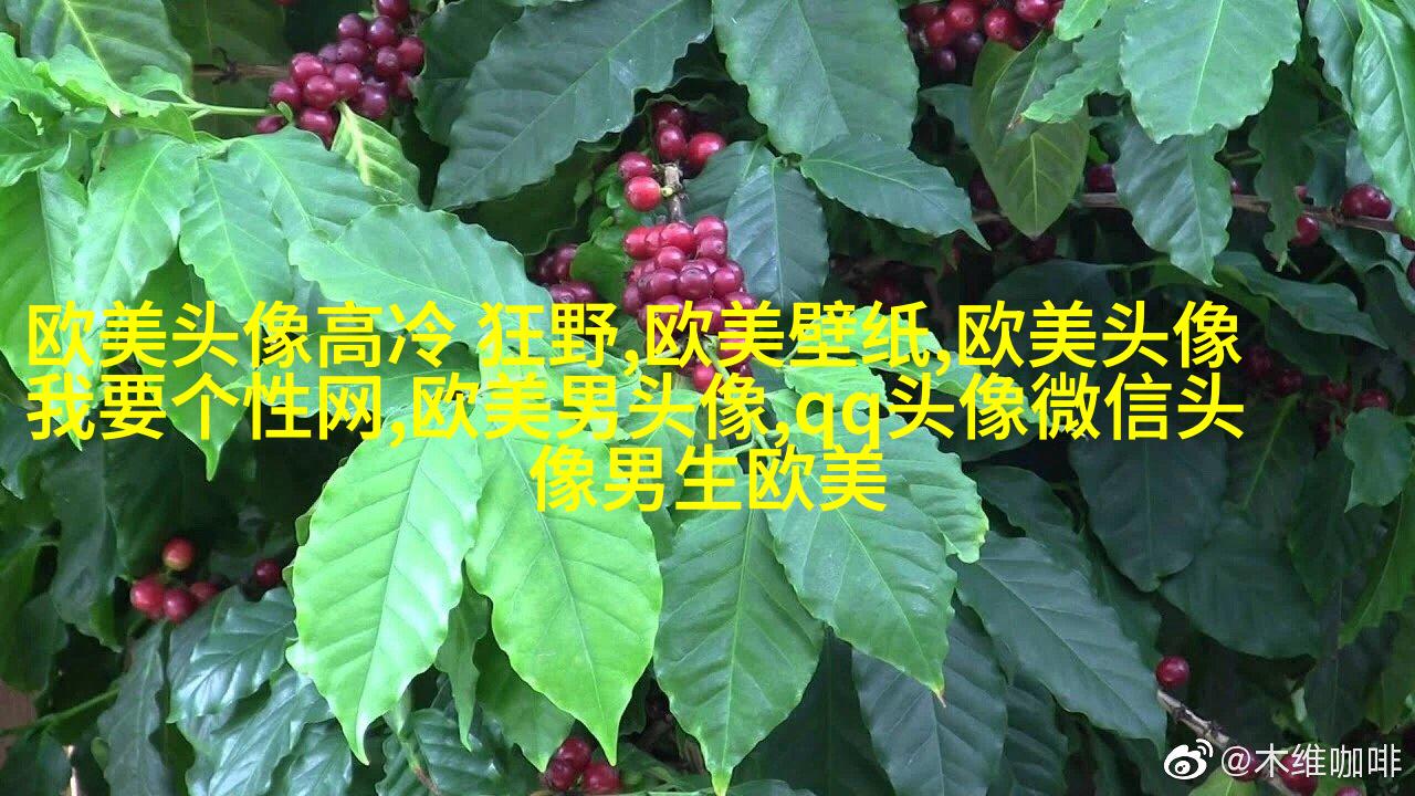 超级霸气的欧美男生头像_霸气是一种魅力