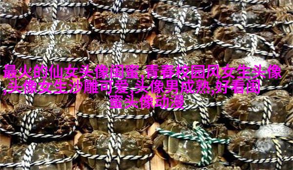 闺蜜头像真人一人一张(精选18张)