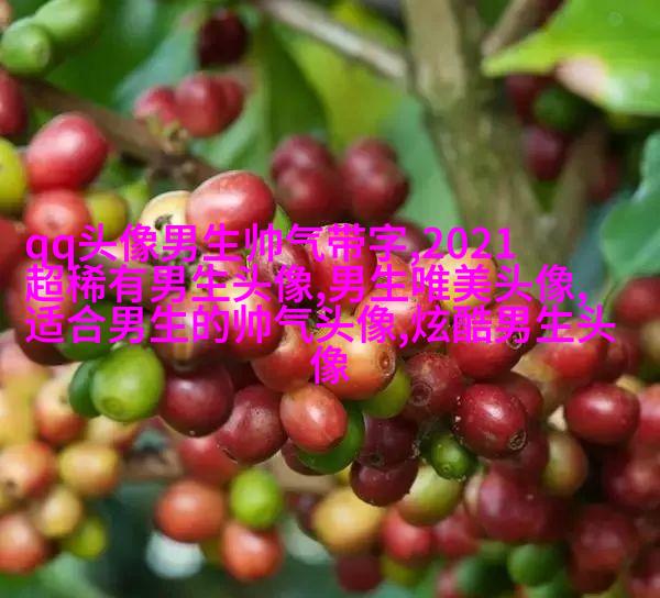 超级好看的真人男生头像(共20张)