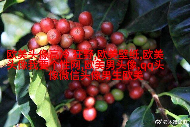 超级霸气的欧美男生头像_霸气是一种魅力
