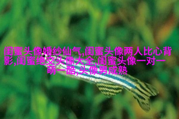 古风闺蜜头像一对一张真人(优选26张)