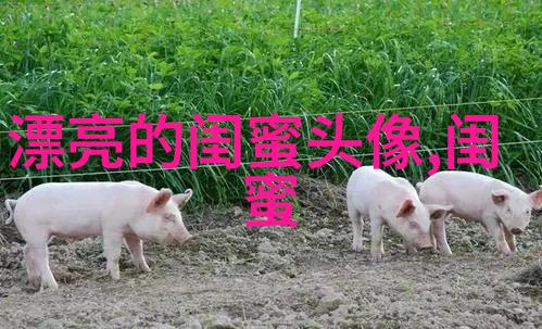 微信闺蜜高清头像图片(优选22张)