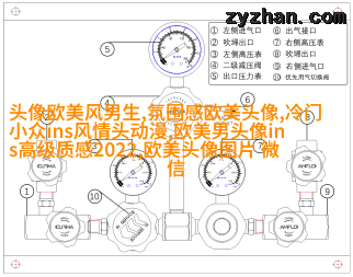 欧美高贵气质女人图片头像