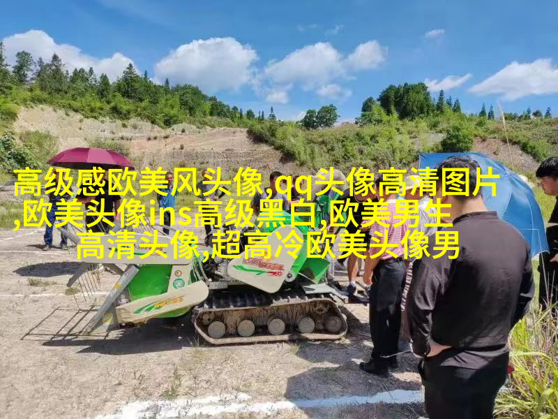 高清欧美头像女生高冷图片(24张)