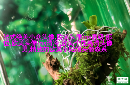 欧美范女生qq头像_欧美漂亮女生
