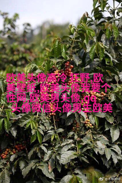 超级霸气的欧美男生头像_霸气是一种魅力