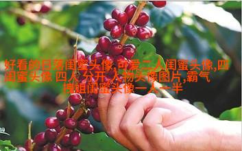 闺蜜头像一左一右两张(22张)