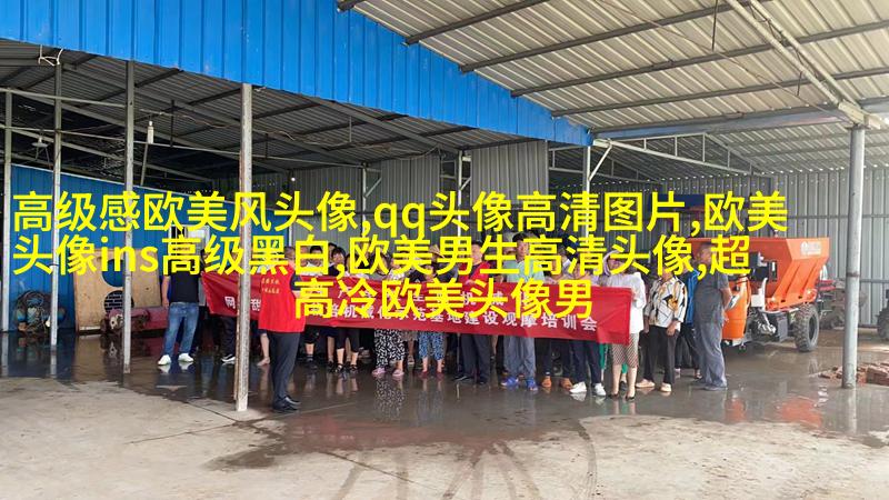 高清欧美头像女生高冷图片(24张)