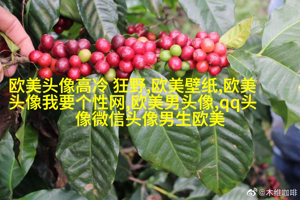 超级霸气的欧美男生头像_霸气是一种魅力