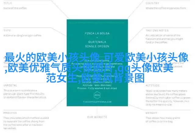 欧美范气质高冷头像(24张)