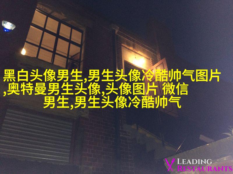 黑白超酷男生帅气qq头像(18张)