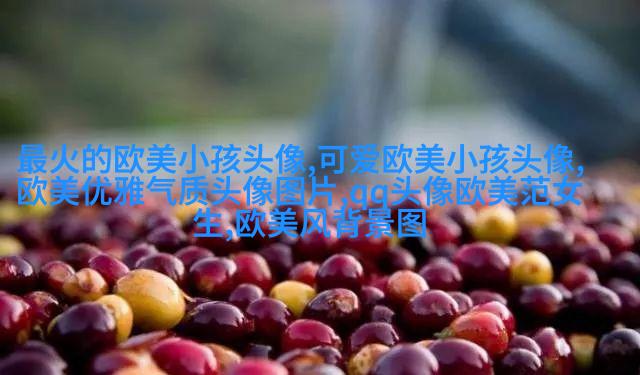 欧美范气质高冷头像(24张)