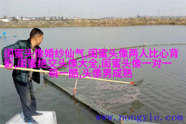 古风闺蜜头像一对一张真人(优选26张)