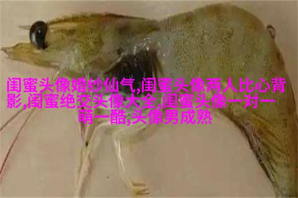 古风闺蜜头像一对一张真人(优选26张)