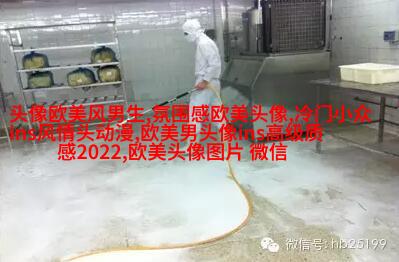欧美高贵气质女人图片头像