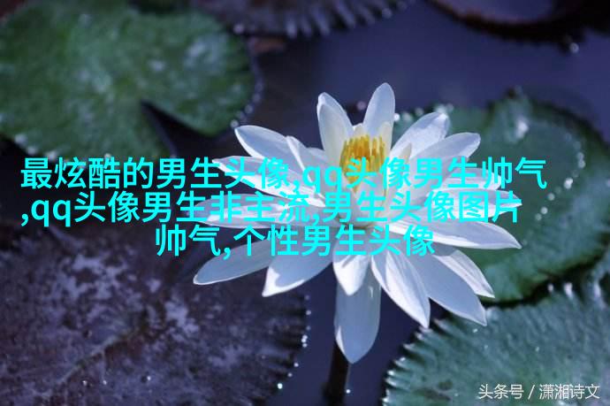 高清漫画头像男生嘻哈图片(精选28张)