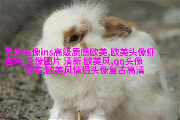 欧美小萝莉qq头像