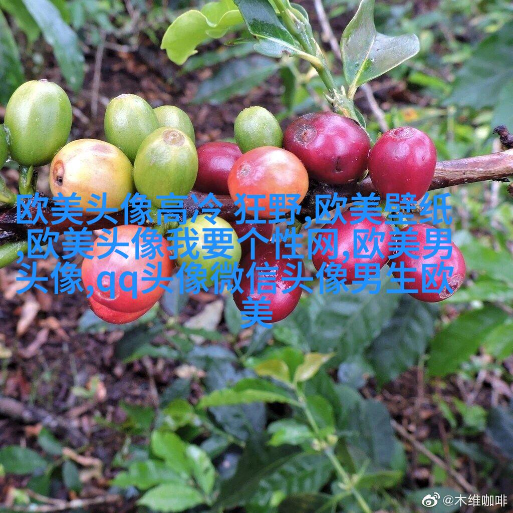超级霸气的欧美男生头像_霸气是一种魅力