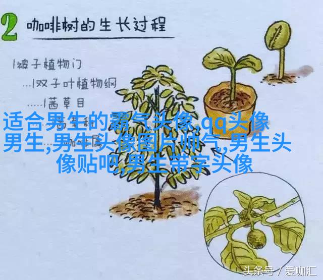 颜值高的男生正脸头像(16张)