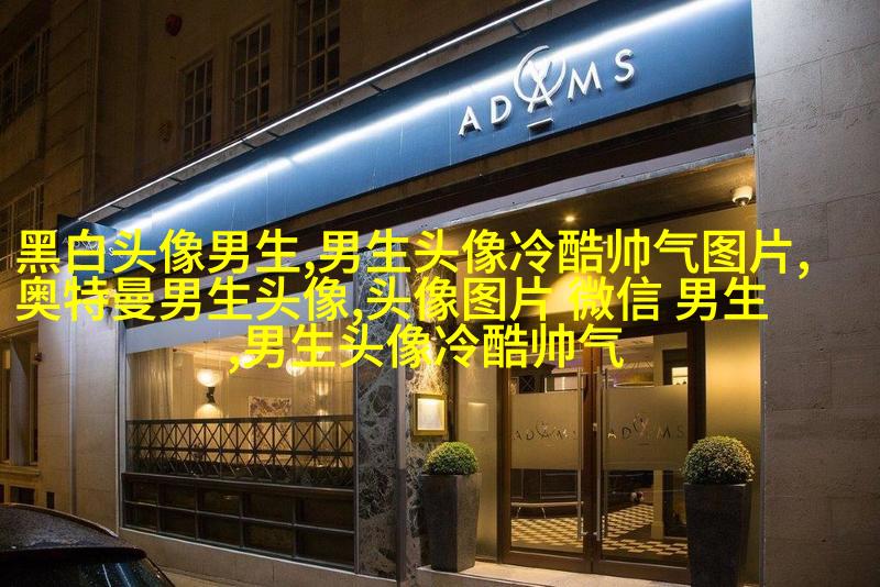 黑白超酷男生帅气qq头像(18张)