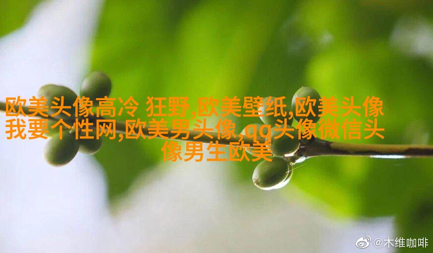 超级霸气的欧美男生头像_霸气是一种魅力