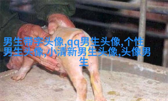 超拽头像男生头像大全图片(优选18张)
