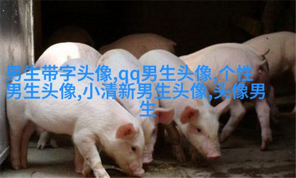 超拽头像男生头像大全图片(优选18张)