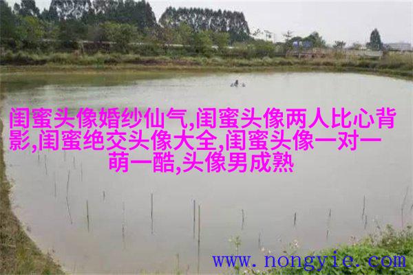古风闺蜜头像一对一张真人(优选26张)