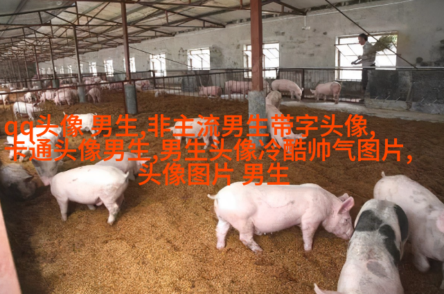 男人微信最吸引成人的头像(精选18张)
