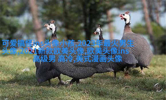 2023很惊艳的颜值逆天欧美女生头像(优选18张)