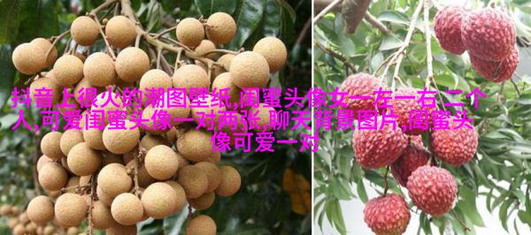 古风闺蜜头像一人一张(优选18张)