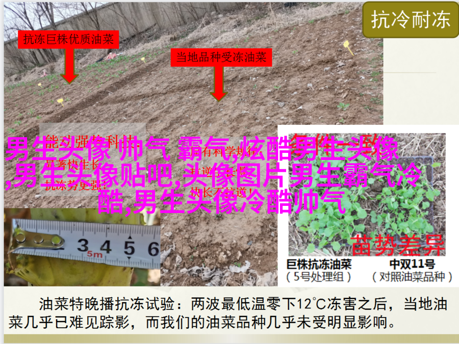 男生有内涵有气质头像(18张)